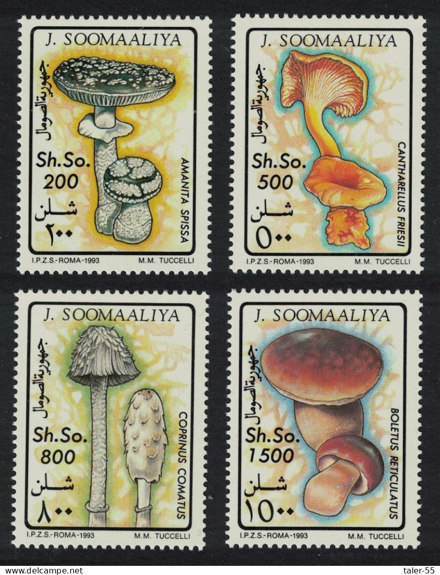 Somalia Fungi Mushrooms 4v 1993 MNH MI#468-471 - Somalie (1960-...)