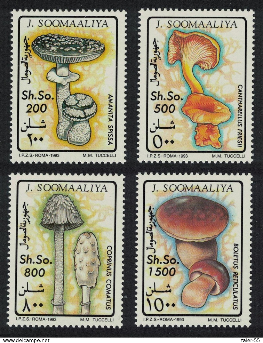 Somalia Fungi Mushrooms 4v 1993 MNH MI#468-471 - Somalia (1960-...)