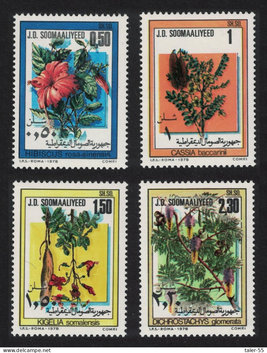 Somalia Flowers 4v 1978 MNH SG#627-630 MI#270-273 - Somalia (1960-...)