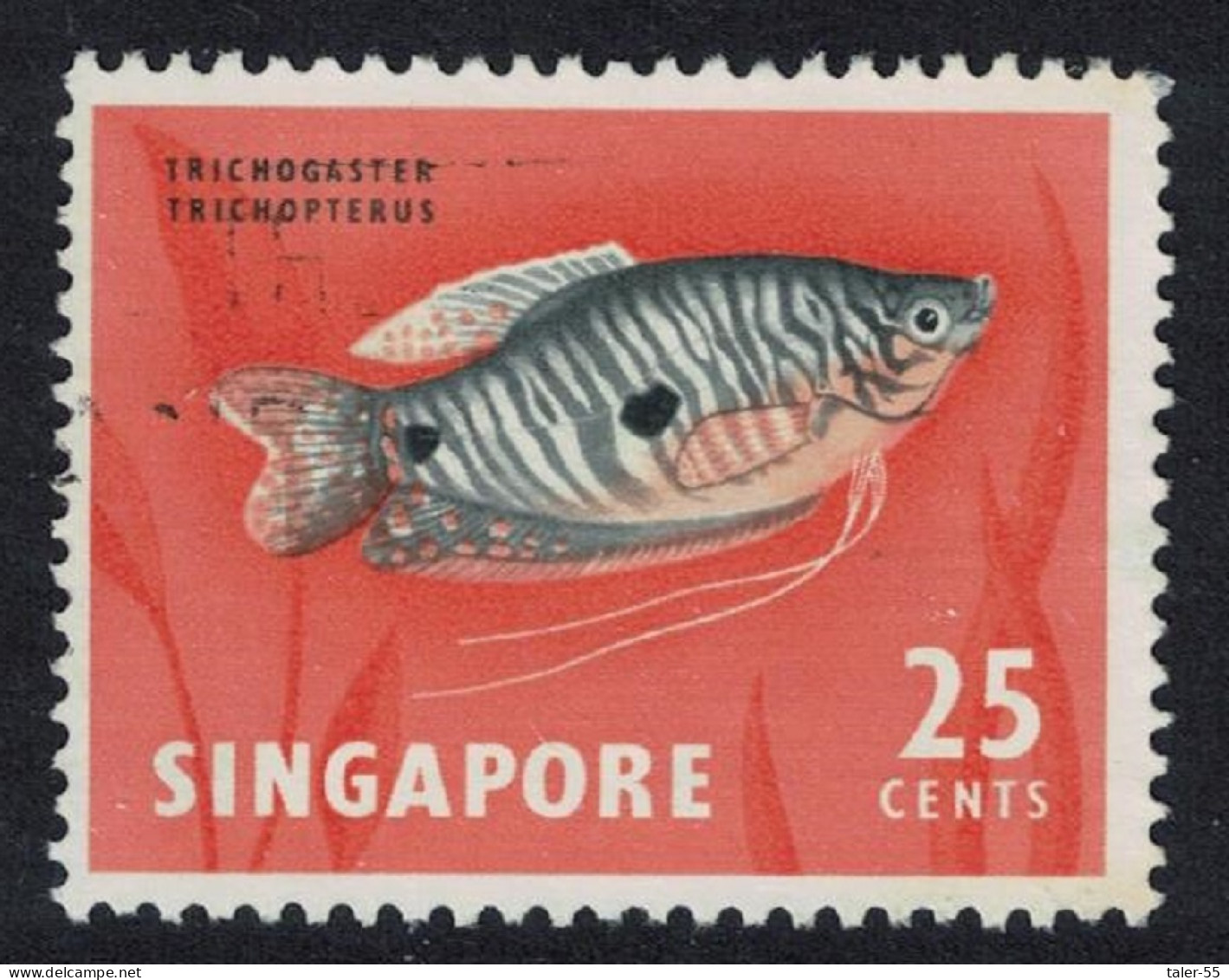 Singapore Three-spotted Gourami Fish 1962 MNH SG#72 - Singapur (1959-...)