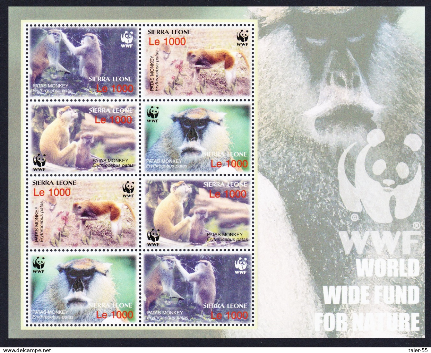 Sierra Leone WWF Patas Monkey MS 2004 MNH SG#4290-4293 MI#4694-4697 Sc#2752 A-d - Sierra Leone (1961-...)