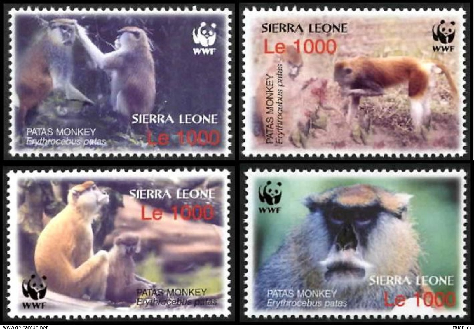 Sierra Leone WWF Patas Monkey 4v 2004 MNH SG#4290-4293 MI#4694-4697 Sc#2752 A-d - Sierra Leone (1961-...)