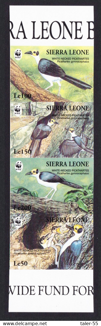 Sierra Leone Birds WWF White-necked Picathartes Strip Of 4 Imperf Stamps 1994 MNH SG#2150-2153 - Sierra Leone (1961-...)