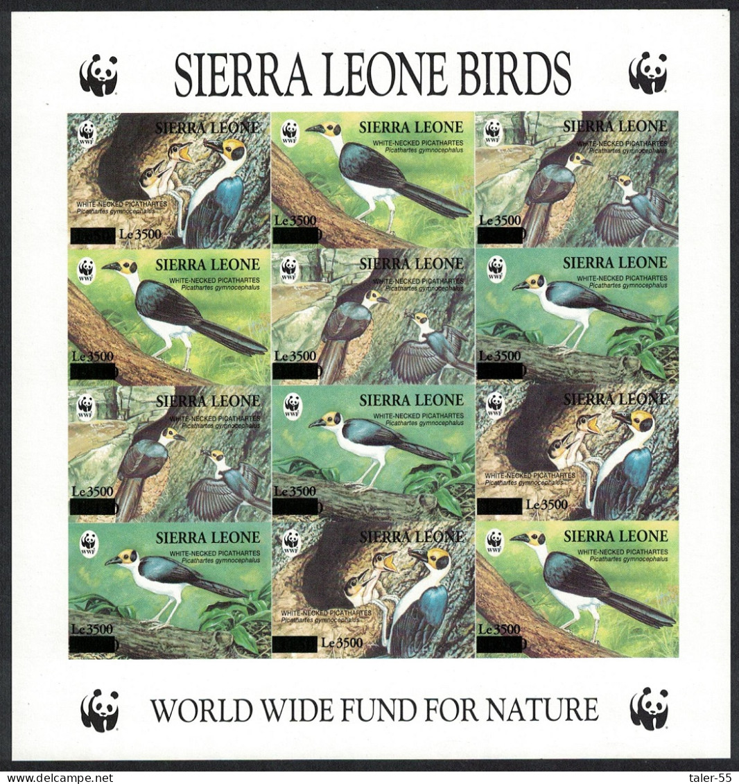 Sierra Leone Birds WWF Picathartes Imperf Sheetlet OVERPRINT RARR 1994 MNH SG#4575-4578 - Sierra Leone (1961-...)