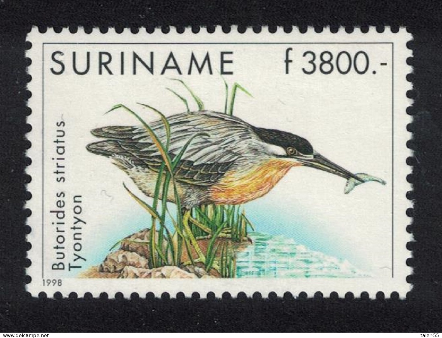 Suriname Green-backed Heron Bird 1998 MNH SG#1770 - Suriname