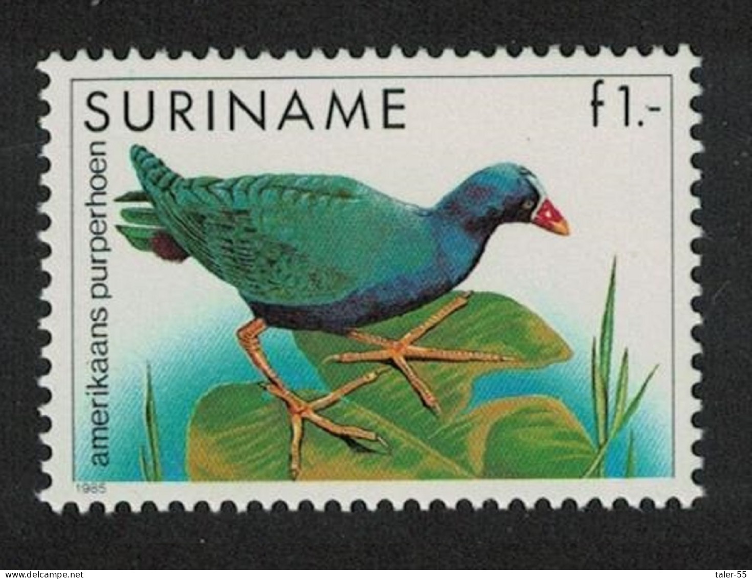 Suriname American Purple Gallinule Bird 1985 MNH SG#1248 - Suriname