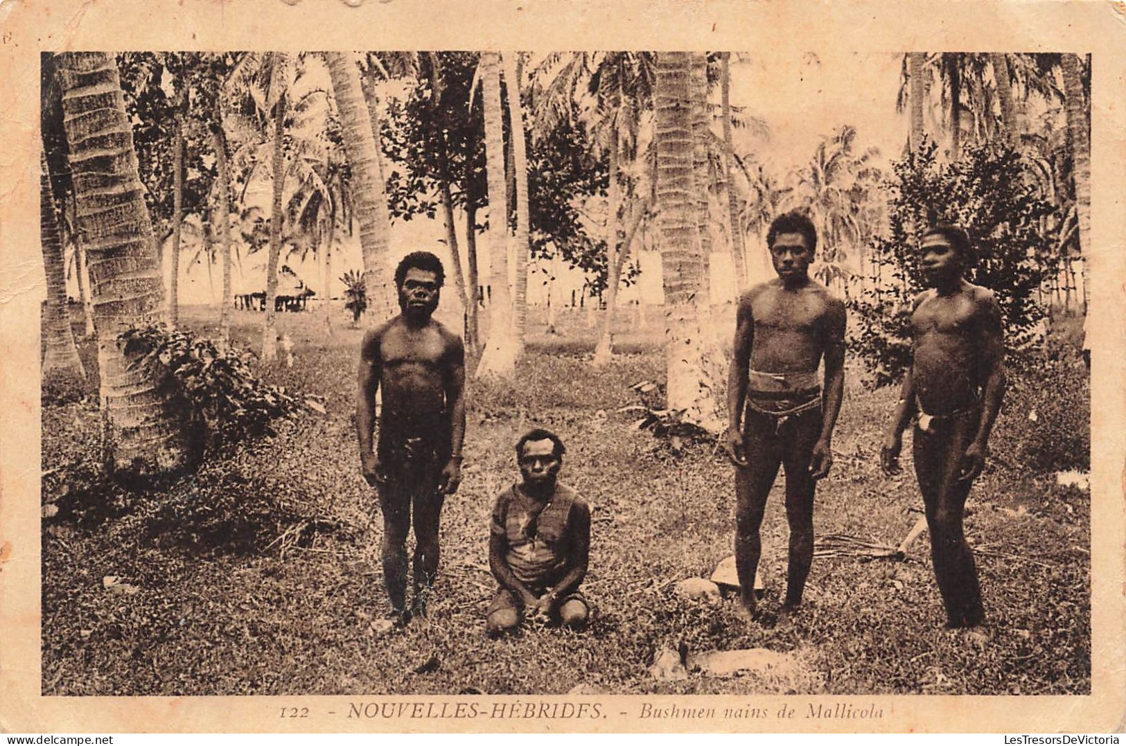 VANUANTU - Nouvelles Hébrides - Bushmen Nains De Mallicola - Quatre Hommes - Carte Postale Ancienne - Vanuatu