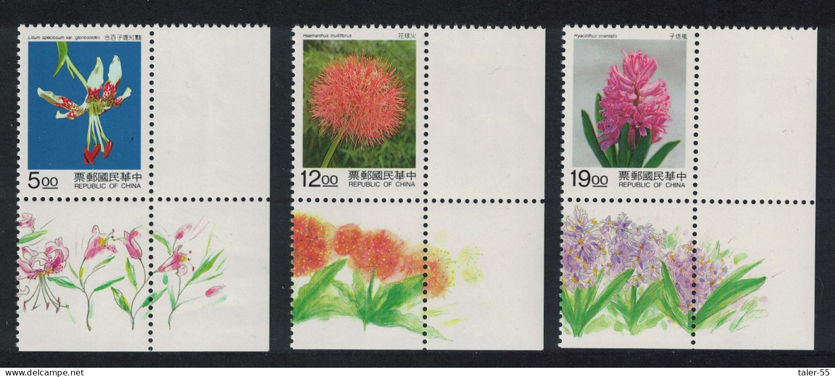 Taiwan Hyacinth Lily Bulbous Flowers 3v Corners 1995 MNH SG#2243-2245 - Unused Stamps