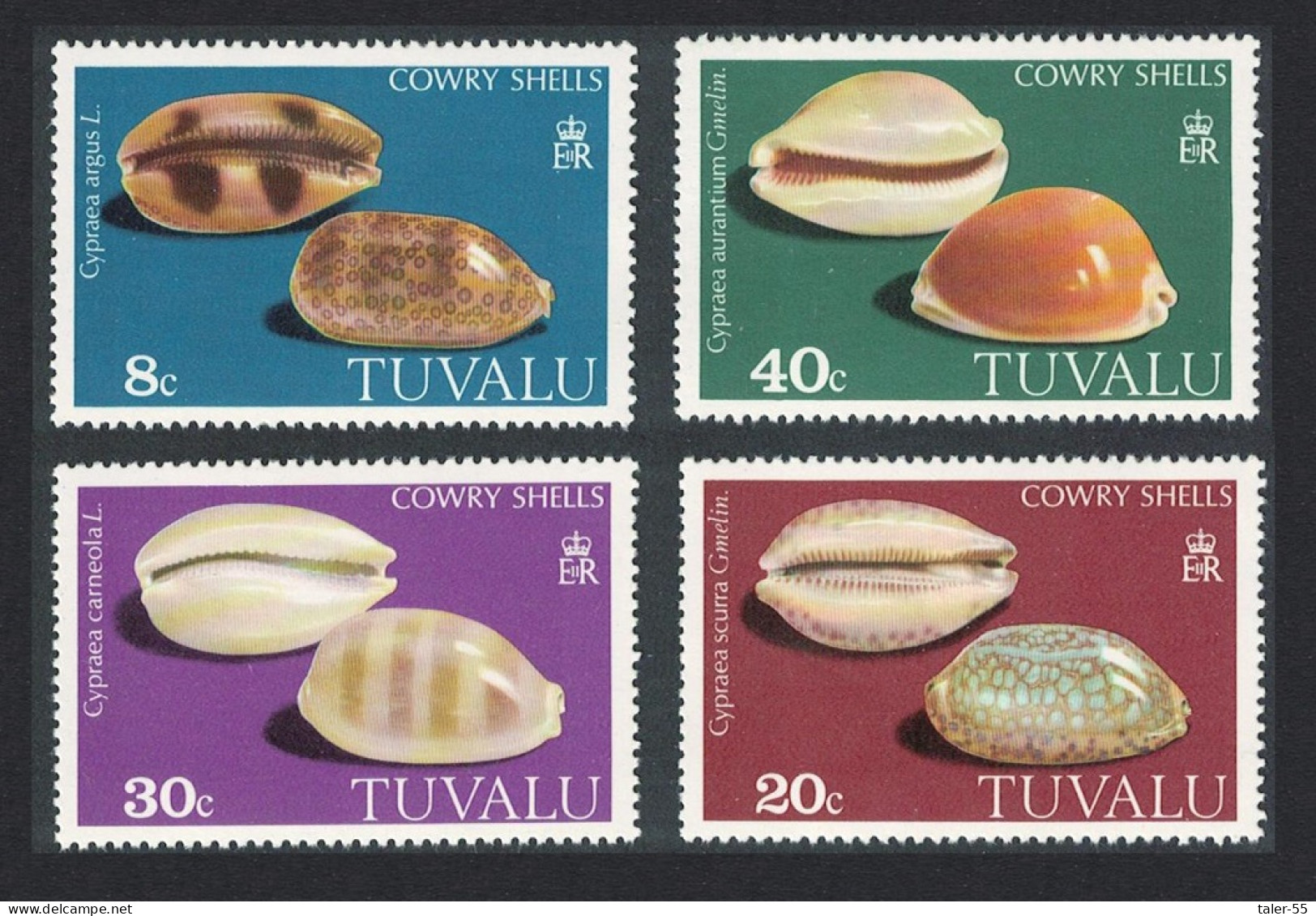 Tuvalu Cowrie Shells 4v 1980 MNH SG#139-142 - Tuvalu