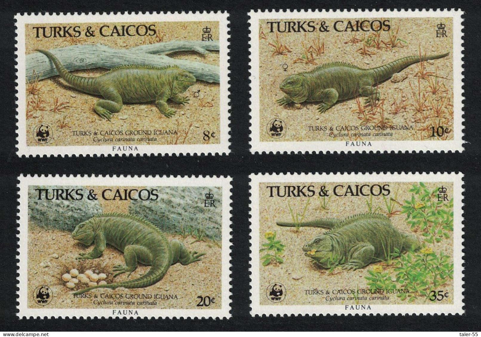 Turks And Caicos WWF Ground Iguana 4v 1986 MNH SG#888-891 MI#777-780 Sc#710-713 - Turks E Caicos