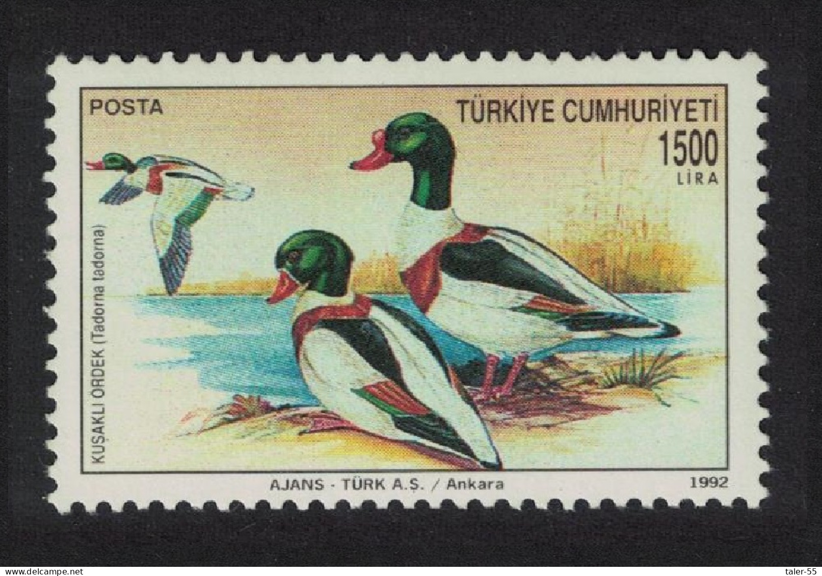 Turkey Common Shelduck Bird Def 1992 SG#3150 - Unused Stamps