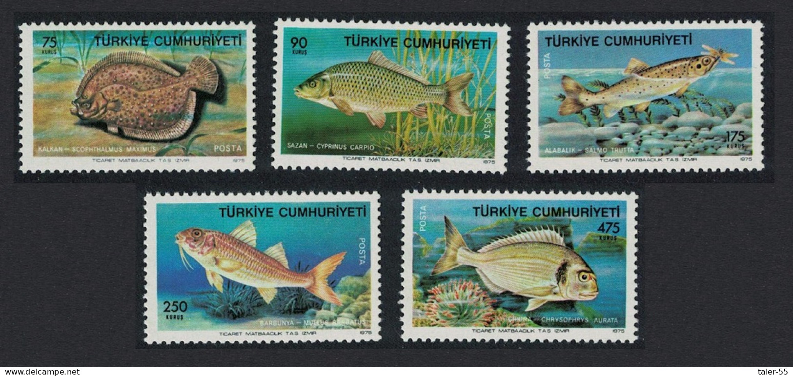 Turkey Fishes 5v 1975 MNH SG#2538-2542 MI#2369-2373 - Nuevos