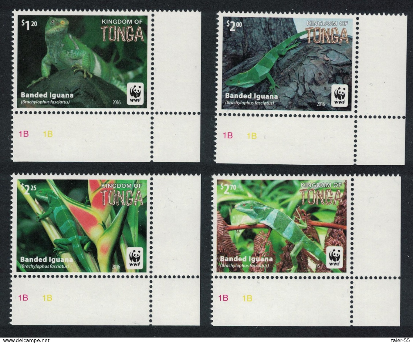 Tonga WWF Banded Iguana 4v Corners Frame 2016 MNH SG#1804-1808 - Tonga (1970-...)