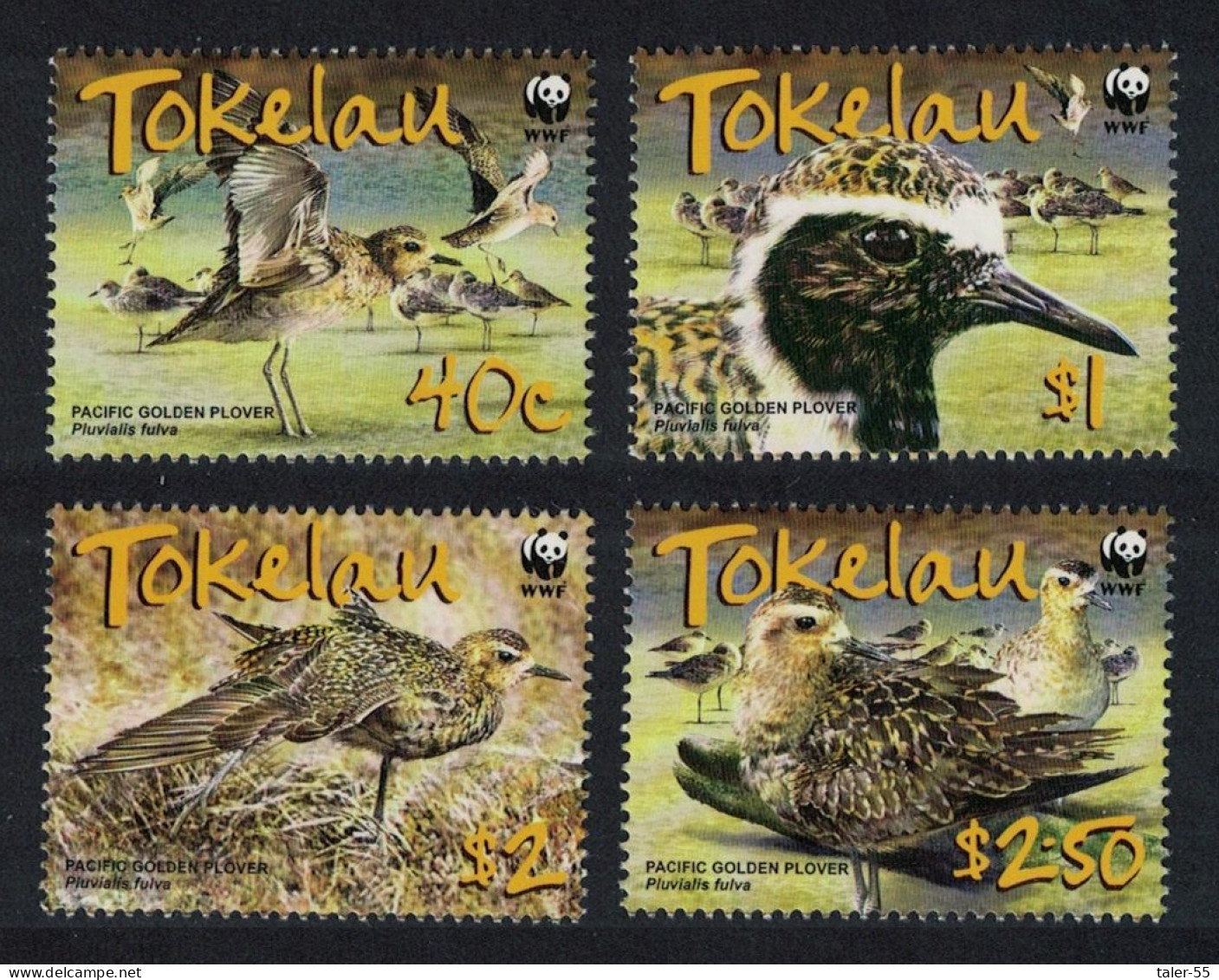 Tokelau WWF Birds Pacific Golden Plover 4v 2007 MNH SG#382-385 MI#368-371 Sc#349-352 - Tokelau