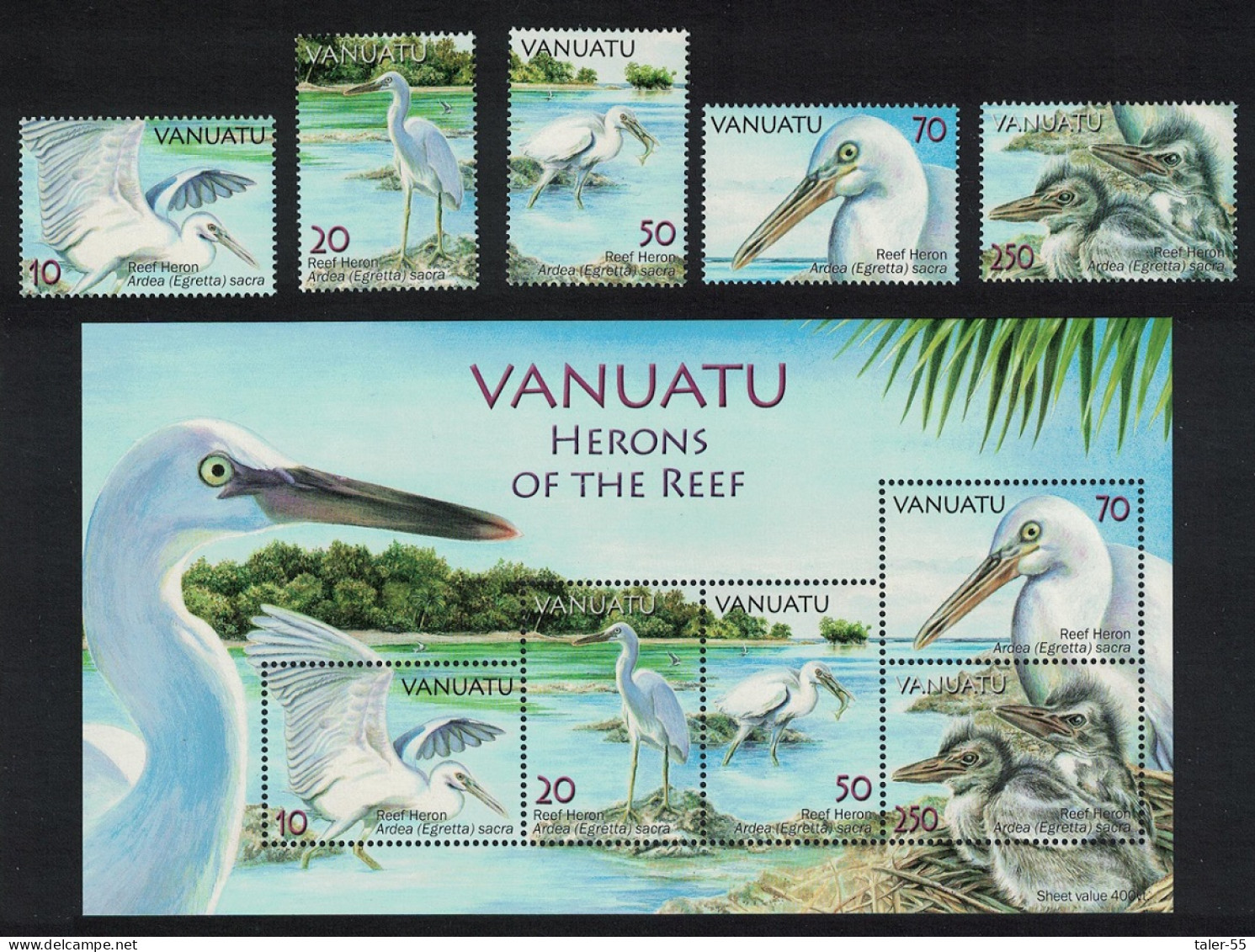 Vanuatu Birds Reef Herons 'Ardea Egretta Sacra' 5v+MS 2007 MNH SG#989-MS994 MI#1314-1318+Block 59 - Vanuatu (1980-...)