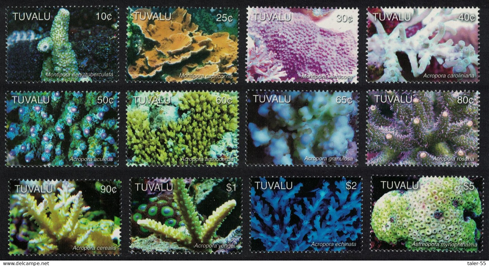 Tuvalu Corals 12v 2006 MNH SG#1208-1219 MI#1291-1302 - Tuvalu