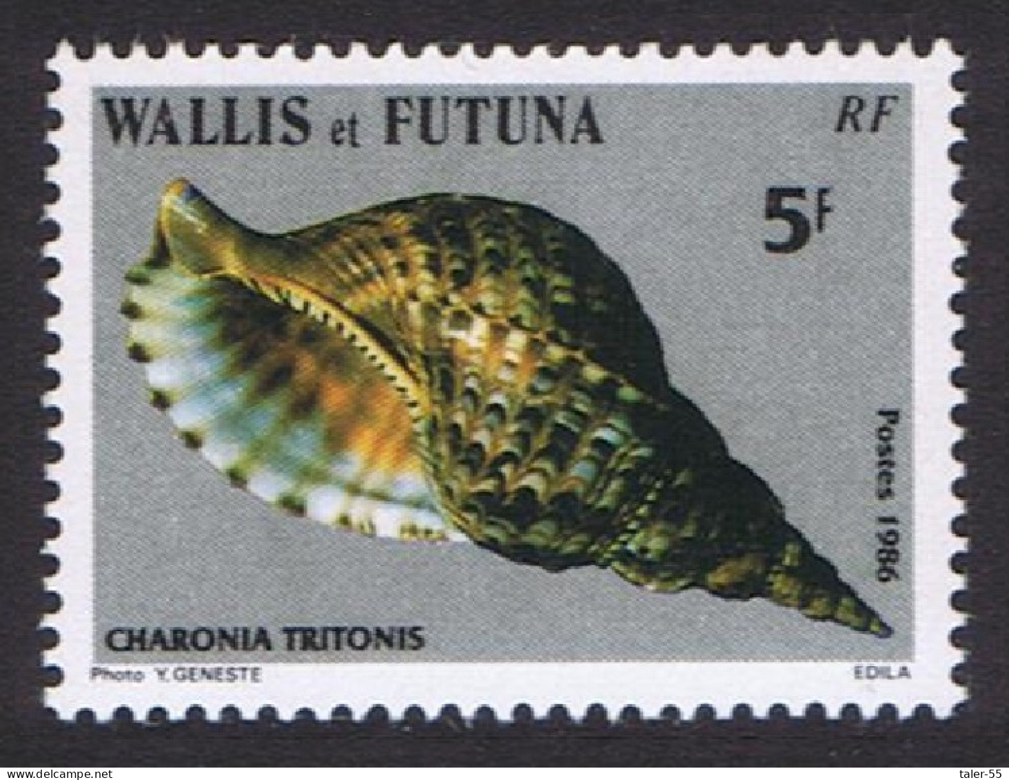 Wallis And Futuna Sea Shells 5f 'Charonia Tritonis' 1986 MNH SG#482 Sc#334 - Unused Stamps