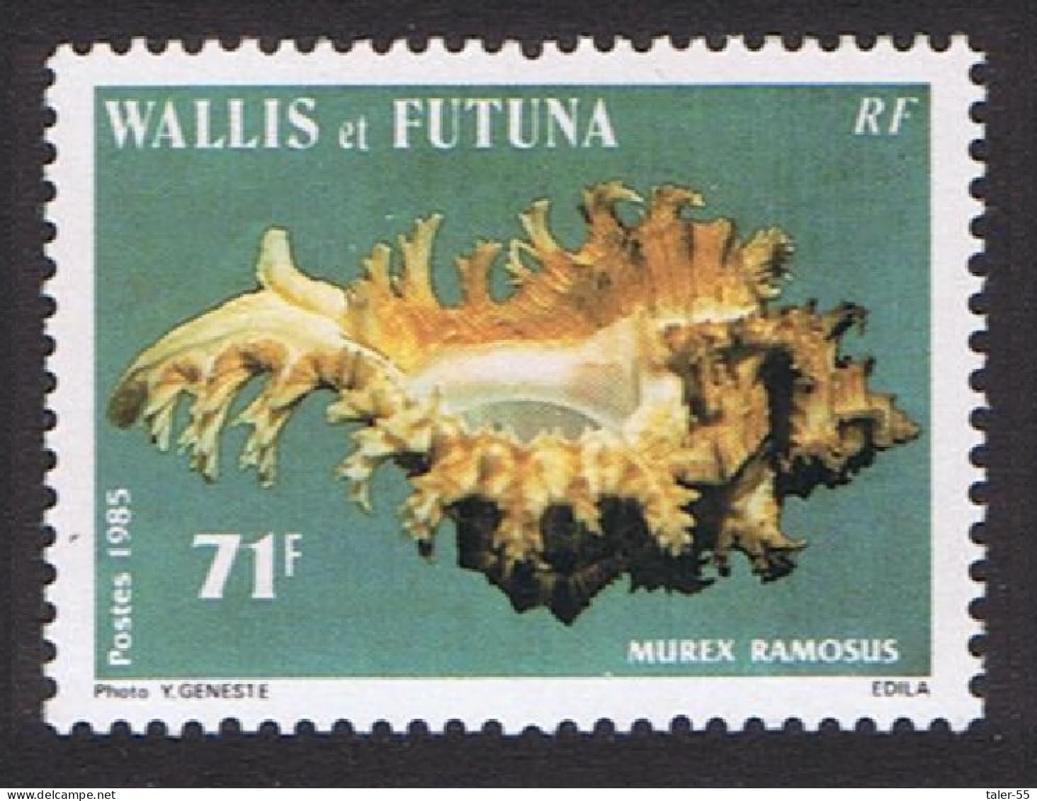 Wallis And Futuna Sea Shells 71f 1985 MNH SG#464 MI#484 Sc#325 - Neufs