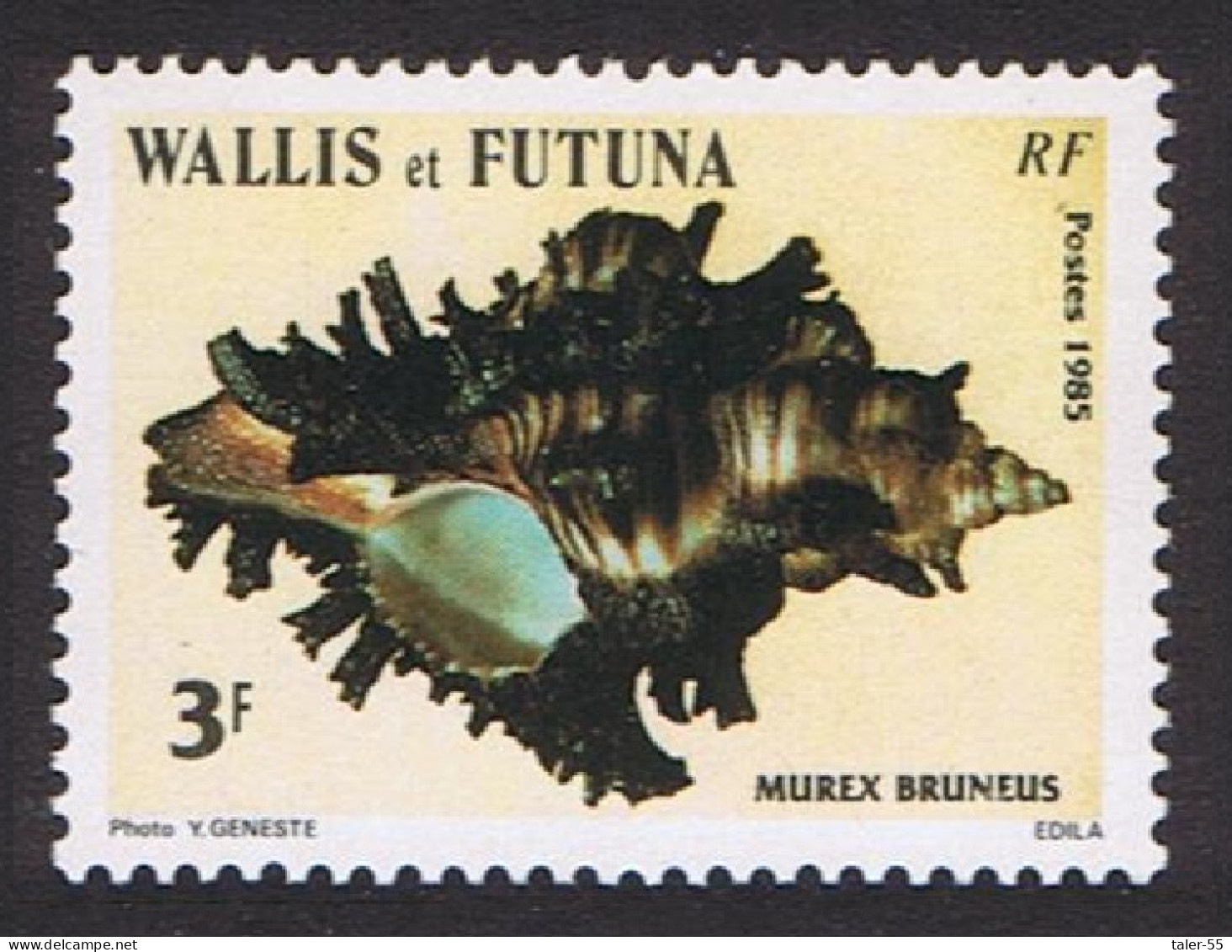 Wallis And Futuna Sea Shells 3f 1985 MNH SG#460 MI#480 Sc#321 - Neufs