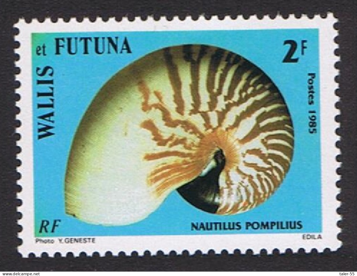 Wallis And Futuna Sea Shells 2f 1985 MNH SG#459 MI#479 Sc#320 - Nuovi