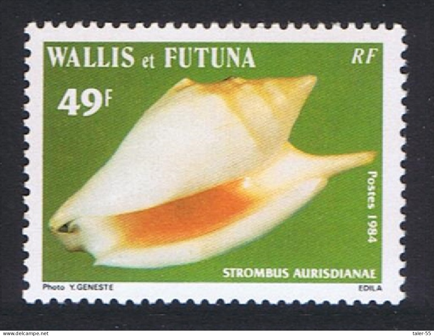 Wallis And Futuna Sea Shells Diana Conch 1984 MNH SG#444 Sc#311 - Nuovi