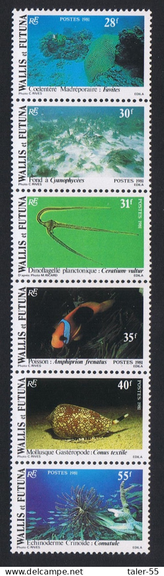 Wallis And Futuna Fish Shells Corals Undersea Fauna Strip Of 6v 1981 MNH SG#370-375 Sc#269a - Neufs