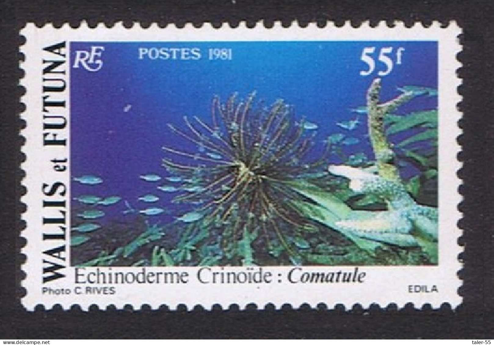 Wallis And Futuna Feather-star Undersea Fauna 55f 1981 MNH SG#375 Sc#269 - Nuovi