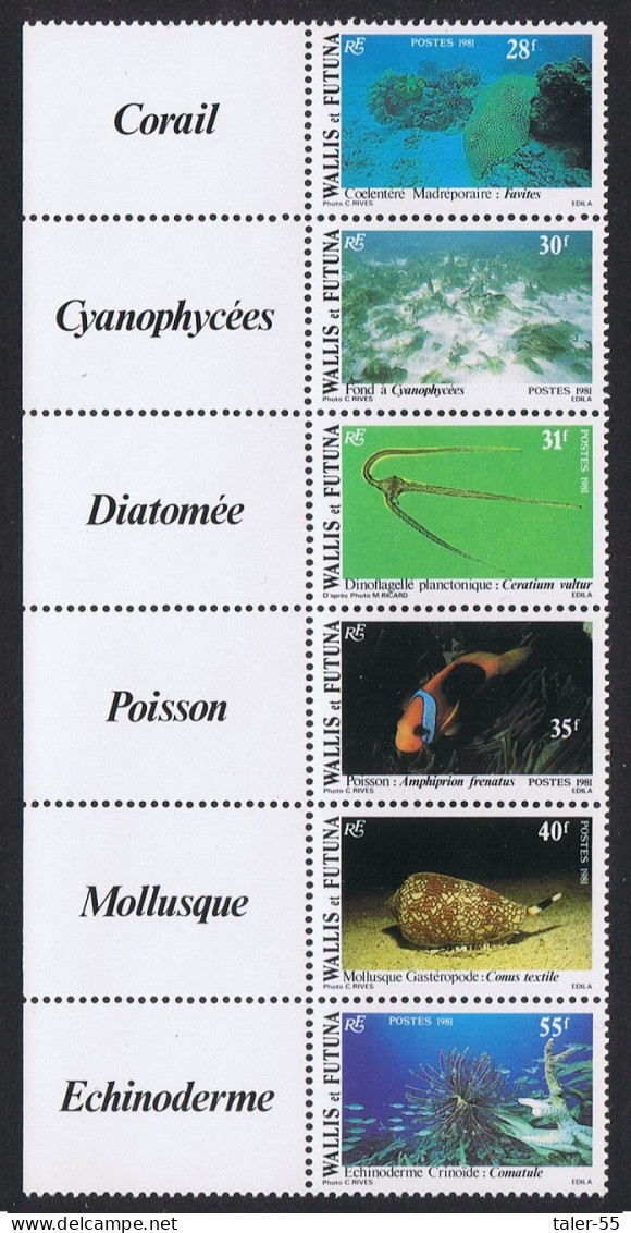 Wallis And Futuna Fish Shells Corals Undersea Fauna Strip Of 6v Left Labels 1981 MNH SG#370-375 Sc#269a - Unused Stamps