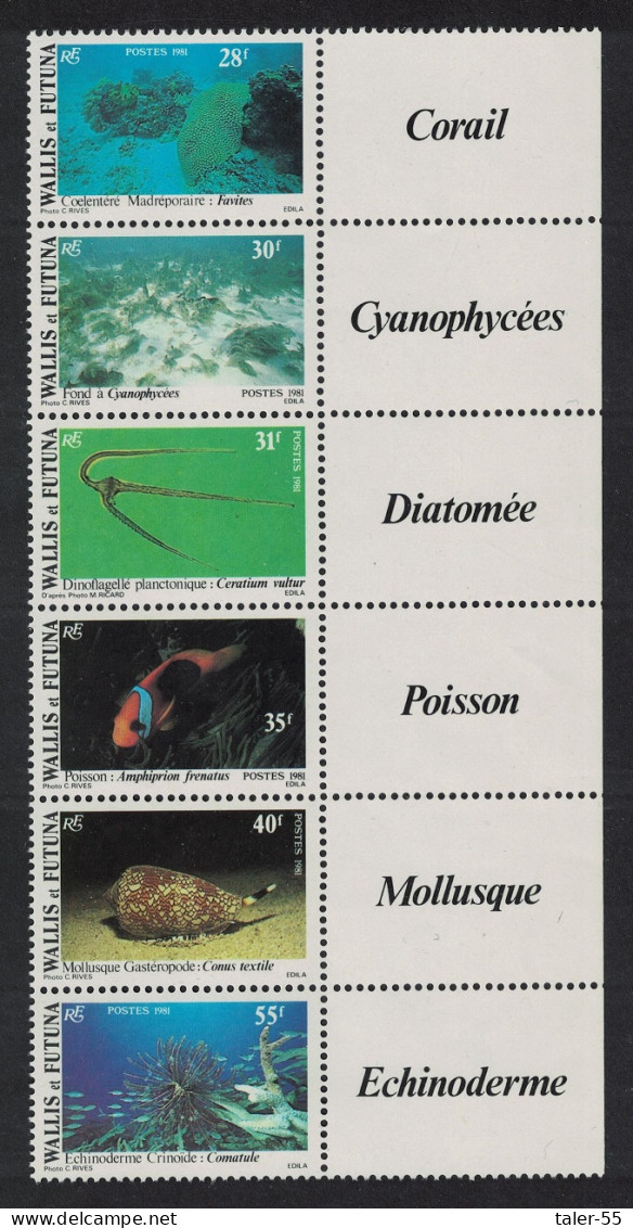 Wallis And Futuna Fish Shells Corals Undersea Fauna Strip Right Labels 1981 MNH SG#370-375 Sc#269a - Nuovi