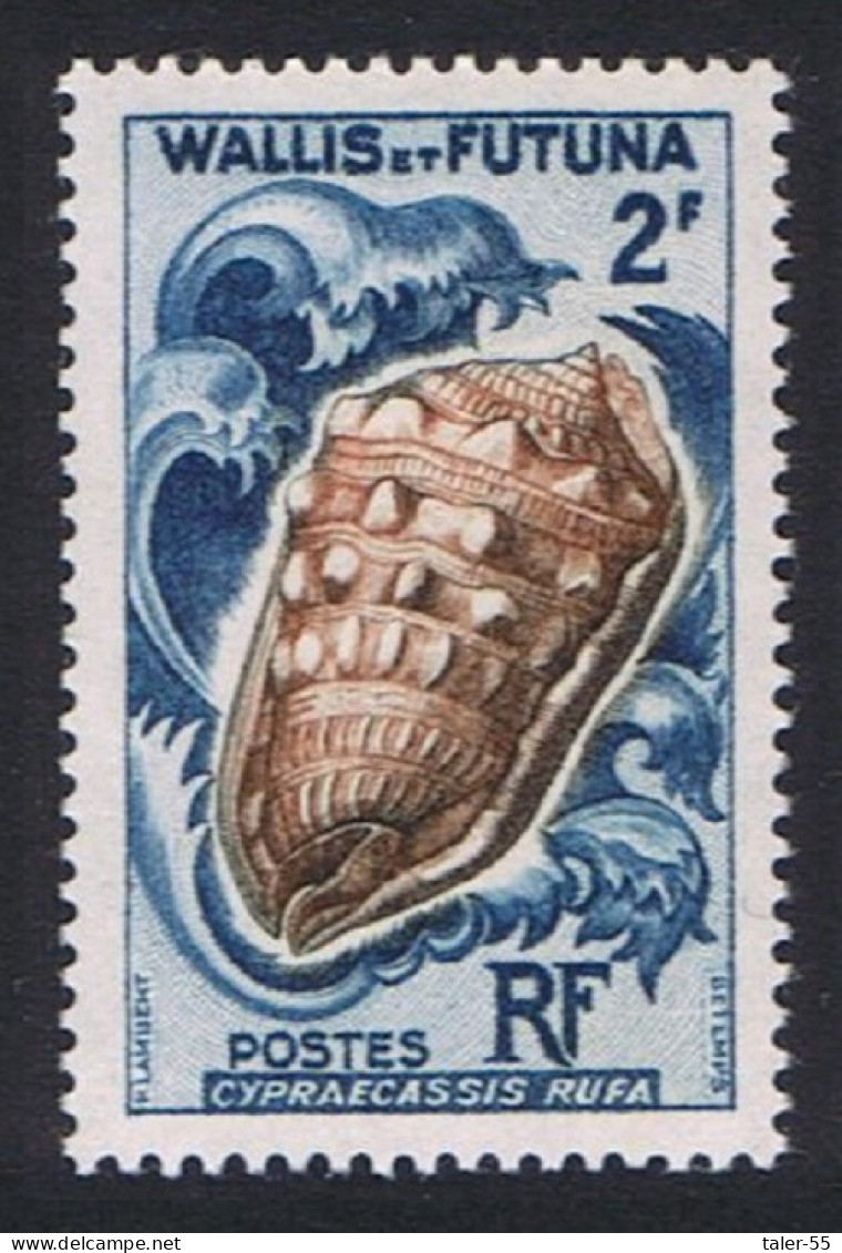 Wallis And Futuna Shells 2Fr 1962 MNH SG#175 Sc#161 - Ongebruikt