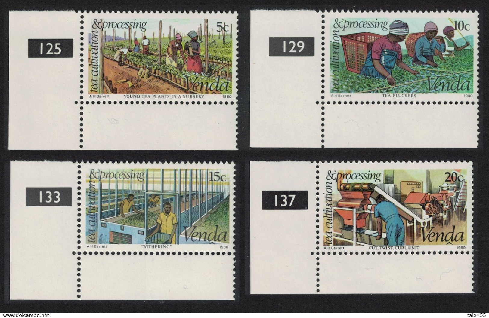 Venda Tea Cultivation 4v Corners 1980 MNH SG#26-29 - Venda