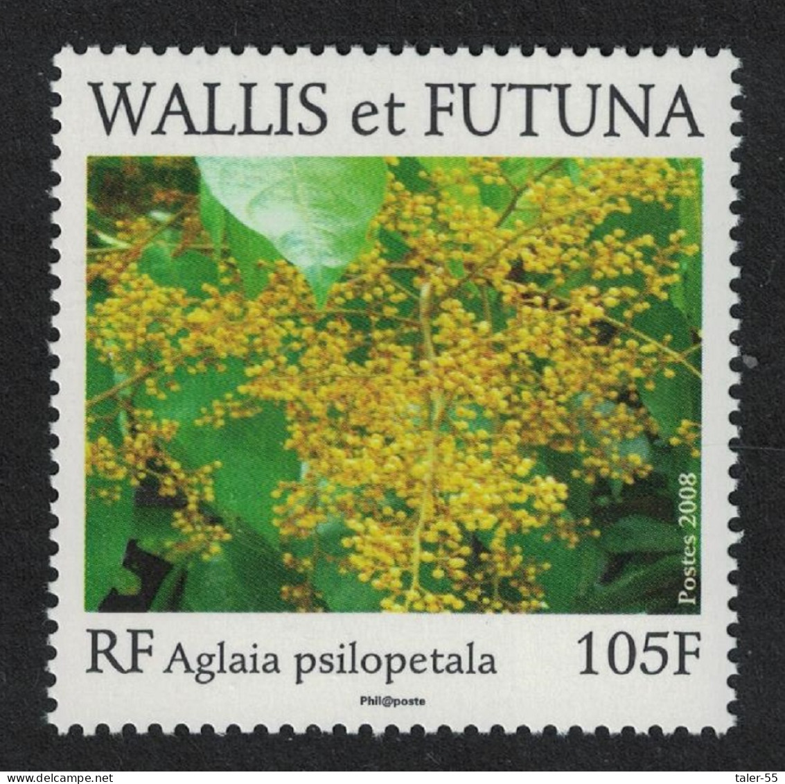 Wallis And Futuna Endemic Flora - Aglaia Psilopetala Tree 2008 MNH SG#937 - Ungebraucht