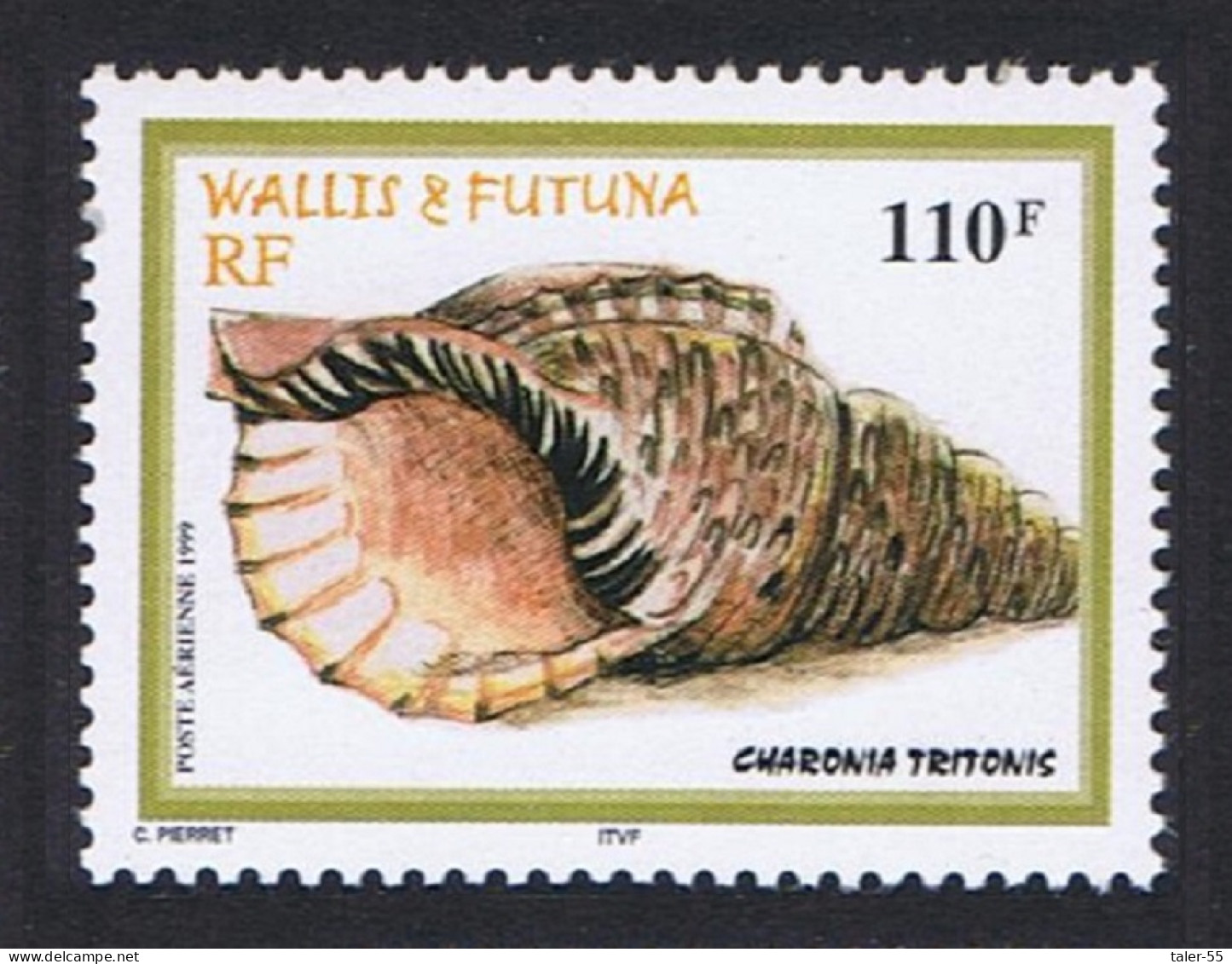 Wallis And Futuna Shells Trumpet Triton 110f 1999 MNH SG#738 Sc#C209 - Neufs