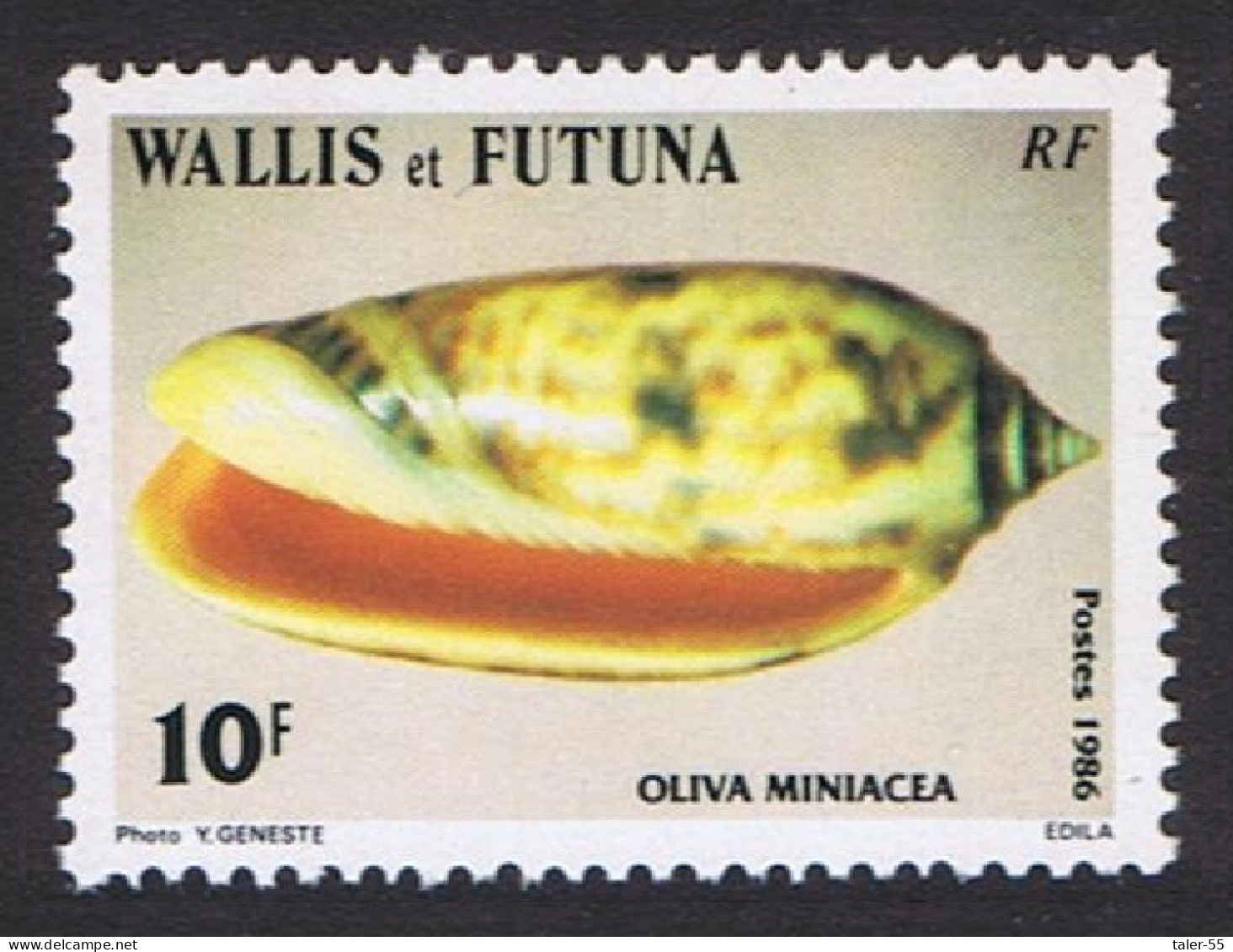 Wallis And Futuna Sea Shells 10f 'Oliva Miniacea' 1986 MNH SG#483 Sc#335 - Ungebraucht
