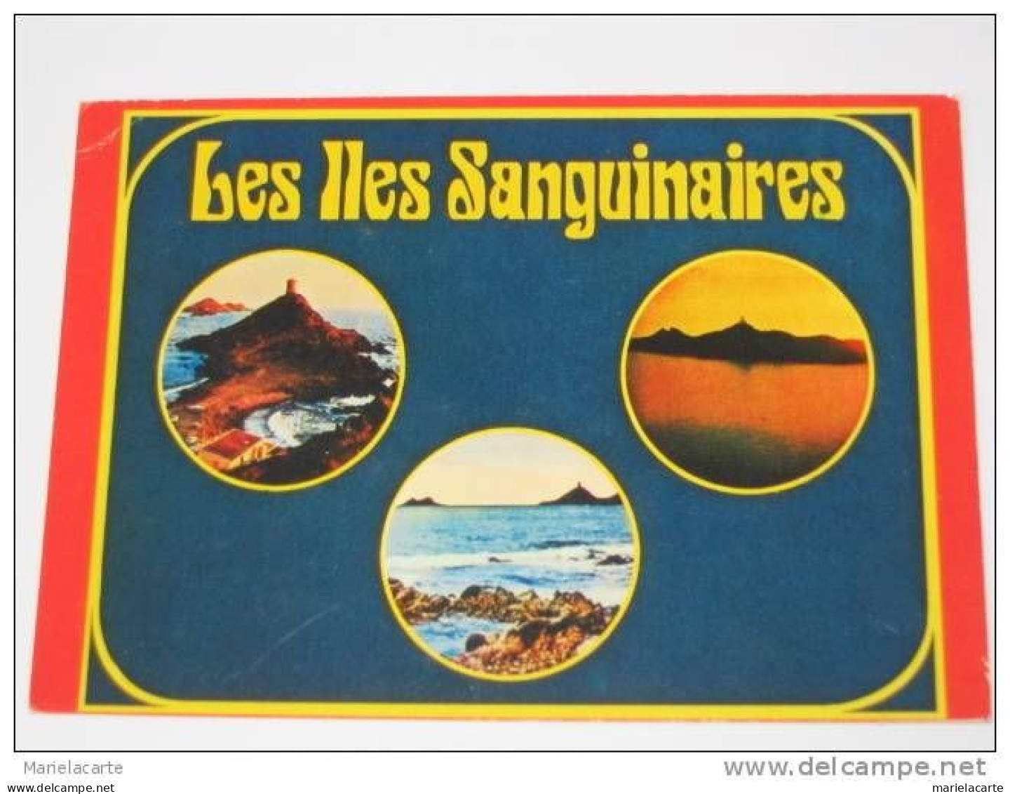 M524 - ACHAT IMMEDIAT -  Corse Les Iles Sanguinaires  Ajaccio   ( Soyez Le Premier .. - Corse