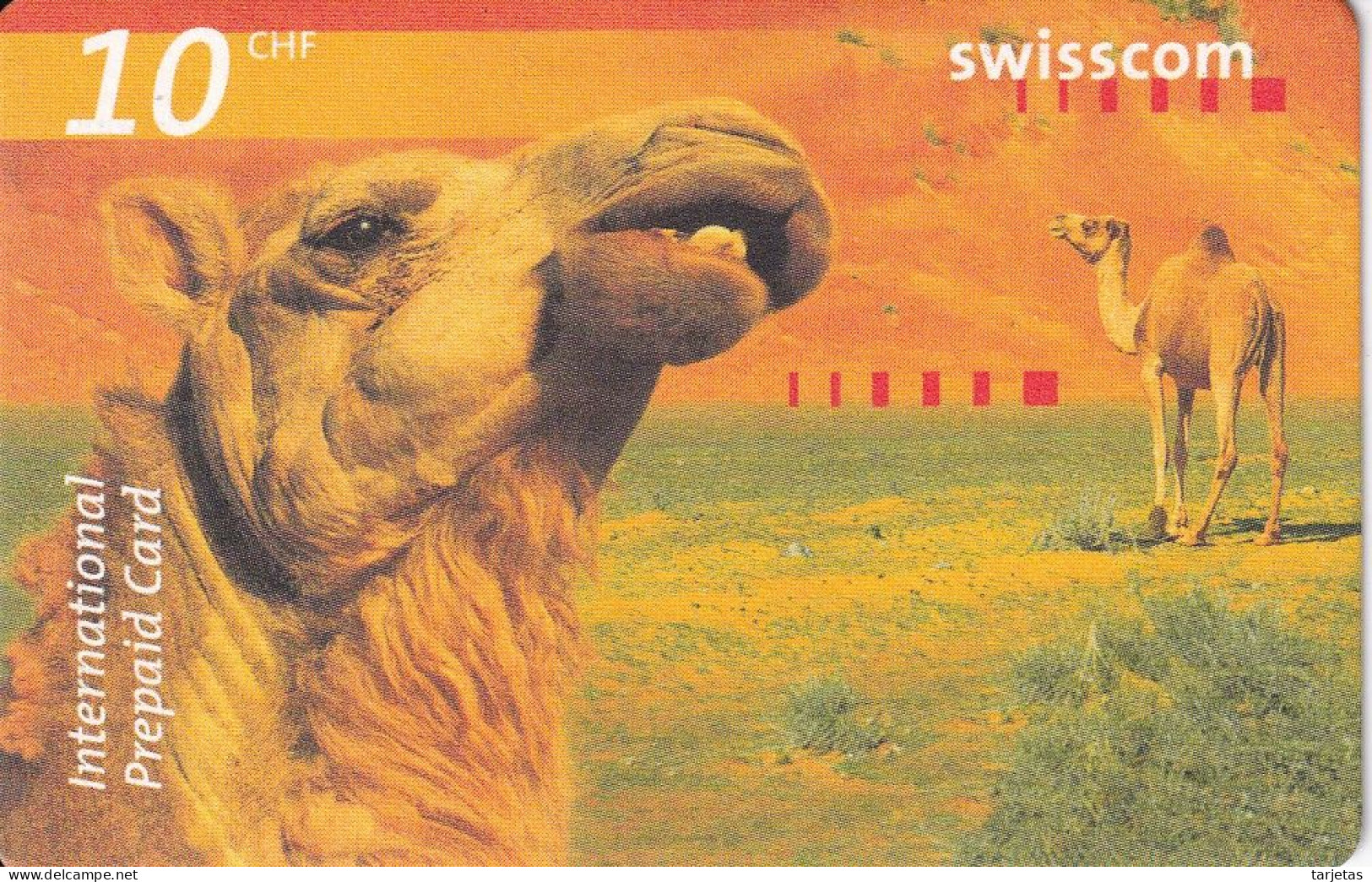 SPECIMEN - TARJETA DE SUIZA DE SWISSCOM DE UN CAMELLO (CAMEL) - Suiza