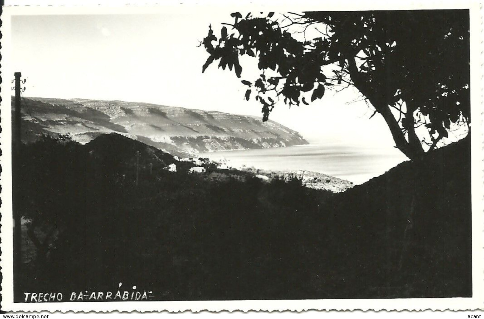 Portugal - Setubal - Trecho Da Arrábida - Carte Photo - Ed. Foto Cinema - Setúbal