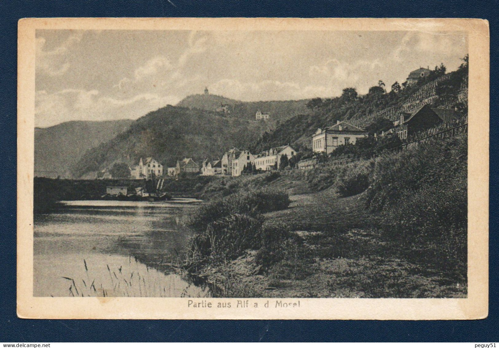 Alf. ( Cochem-Zell). Partie An Der Mosel. Villas Sur Les Rives De La Moselle. - Alf-Bullay