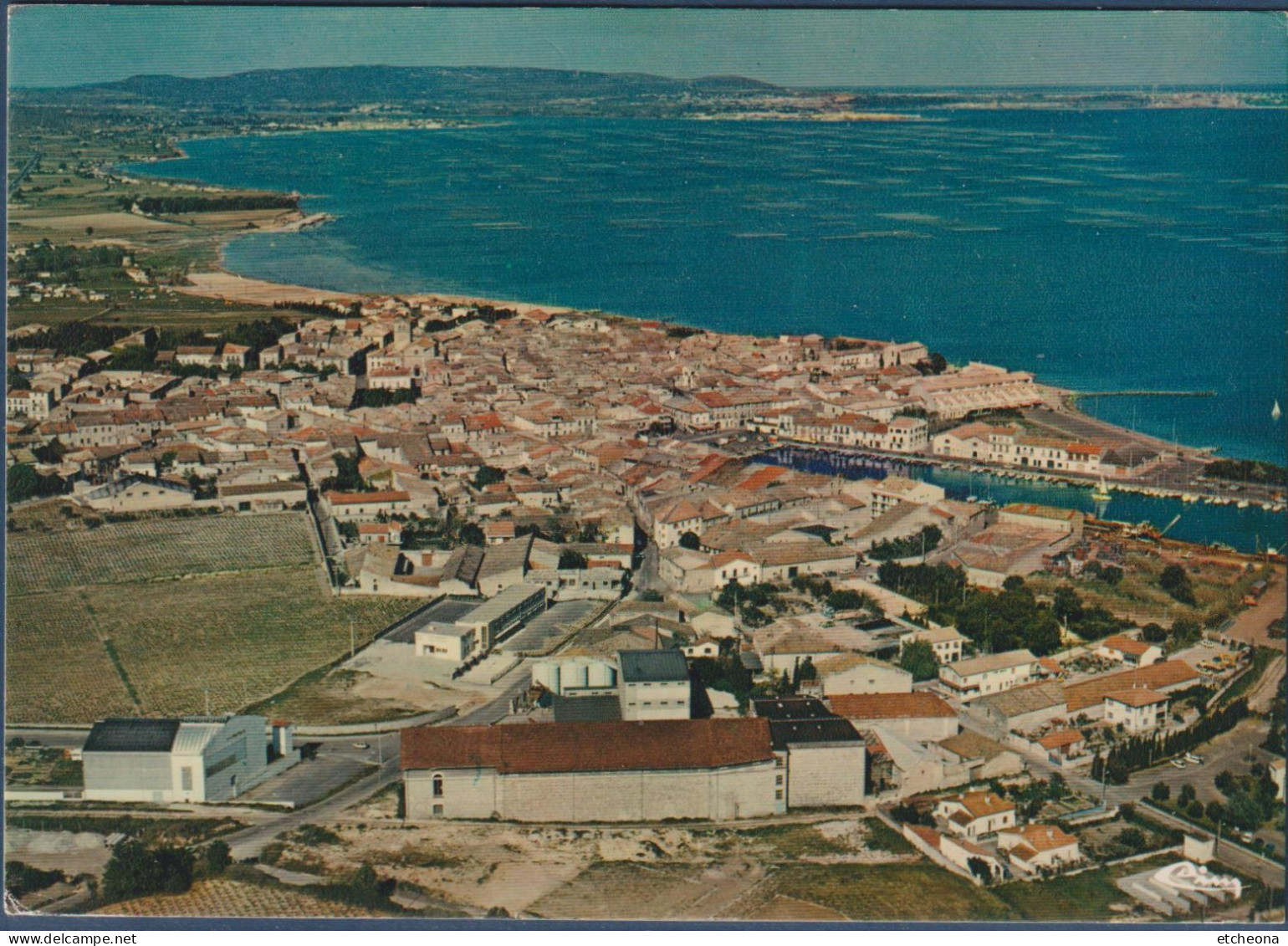 Mèze, Hérault Vue Aérienne Générale Etang De Thau Flamme Son Port, Sa Plage, Ses Coquillages, Son Vin, 25.7.87 - Mèze