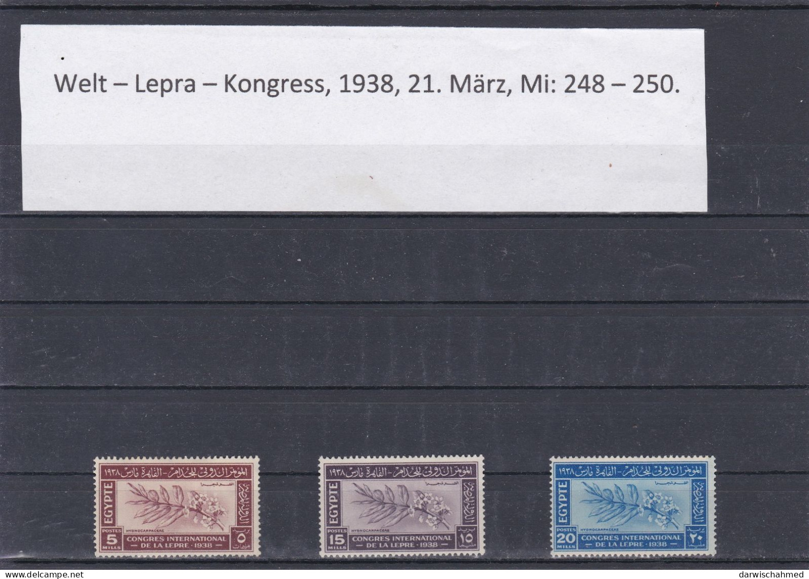 ÄGYPTEN - EGY-PT - EGYPTIAN - EGITTO - WELT - LEPRA -KONGRESS 1938  FALZ - MH - Neufs