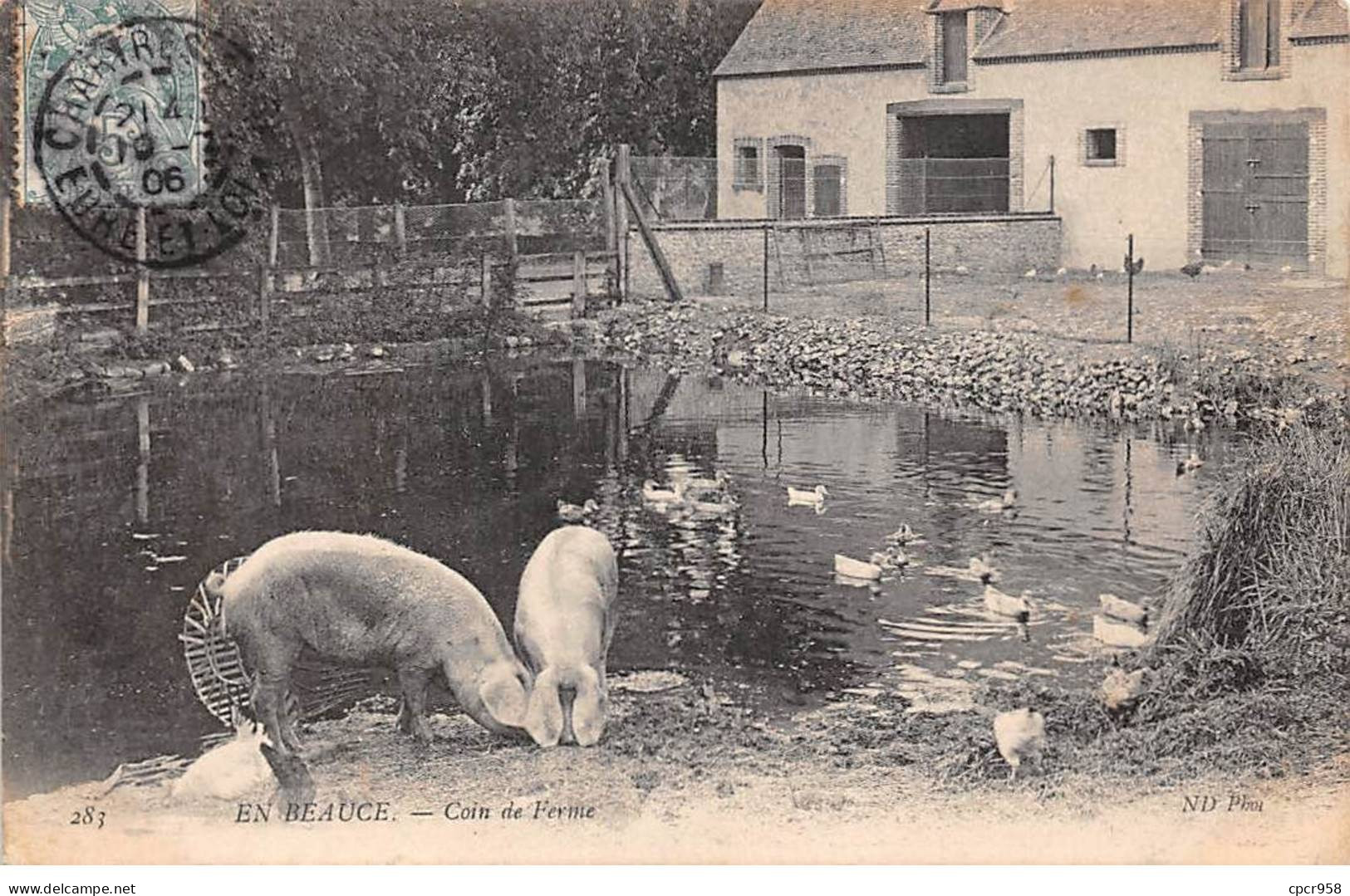 AGRICULTURE - SAN64954 - En Beauce - Coin De Ferme - Elevage