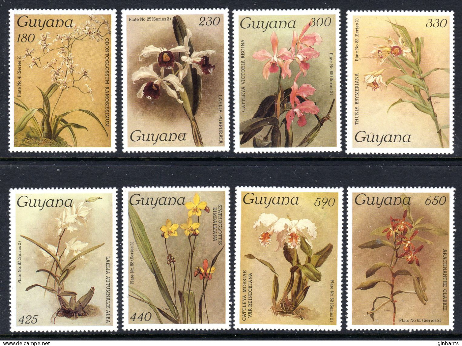 GUYANA - 1987 SANDERS REICHENBACHIA ORCHID FLOWERS 19th ISSUE COMPLETE SET (8V) FINE MNH ** SG 2066-2073 - Guyane (1966-...)