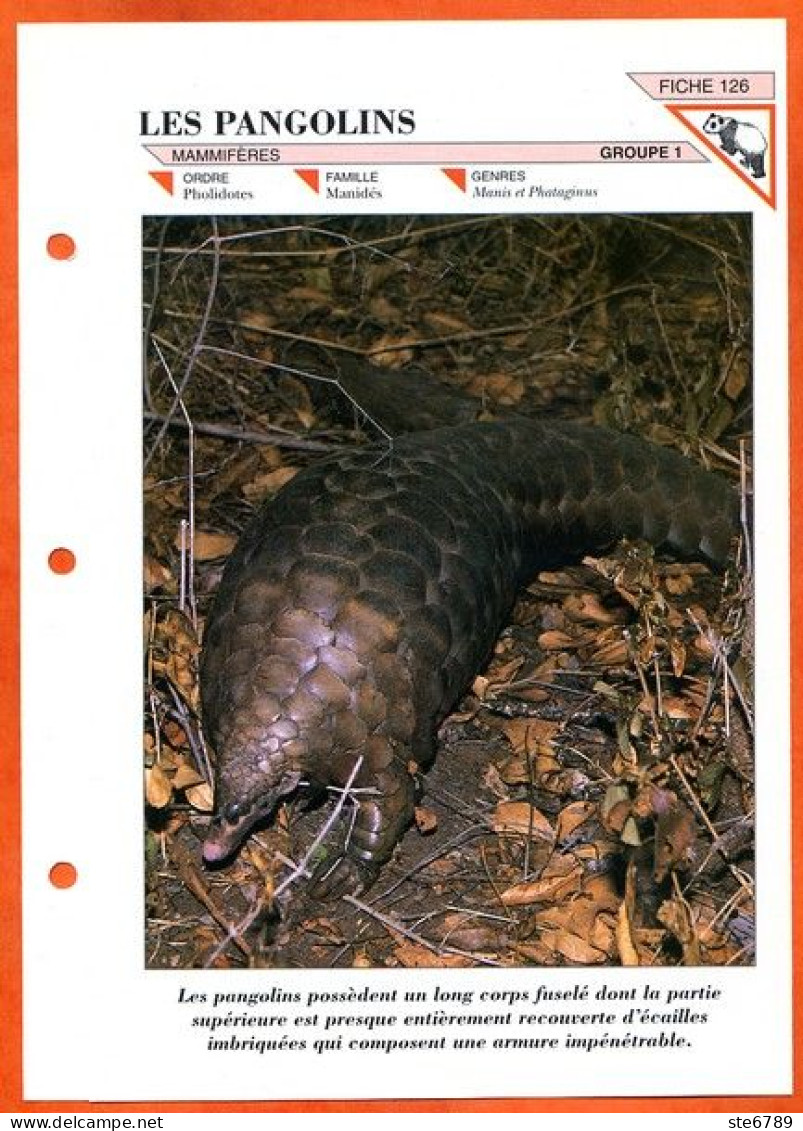 PANGOLINS  Animal Mammifère  Illustrée Documentée Animaux Mammifères Fiche Dépliante - Dieren