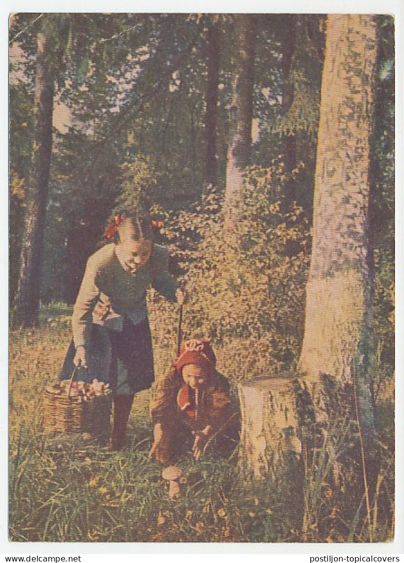 Postal Stationery Soviet Union 1954 Mushrooms Picking - Funghi