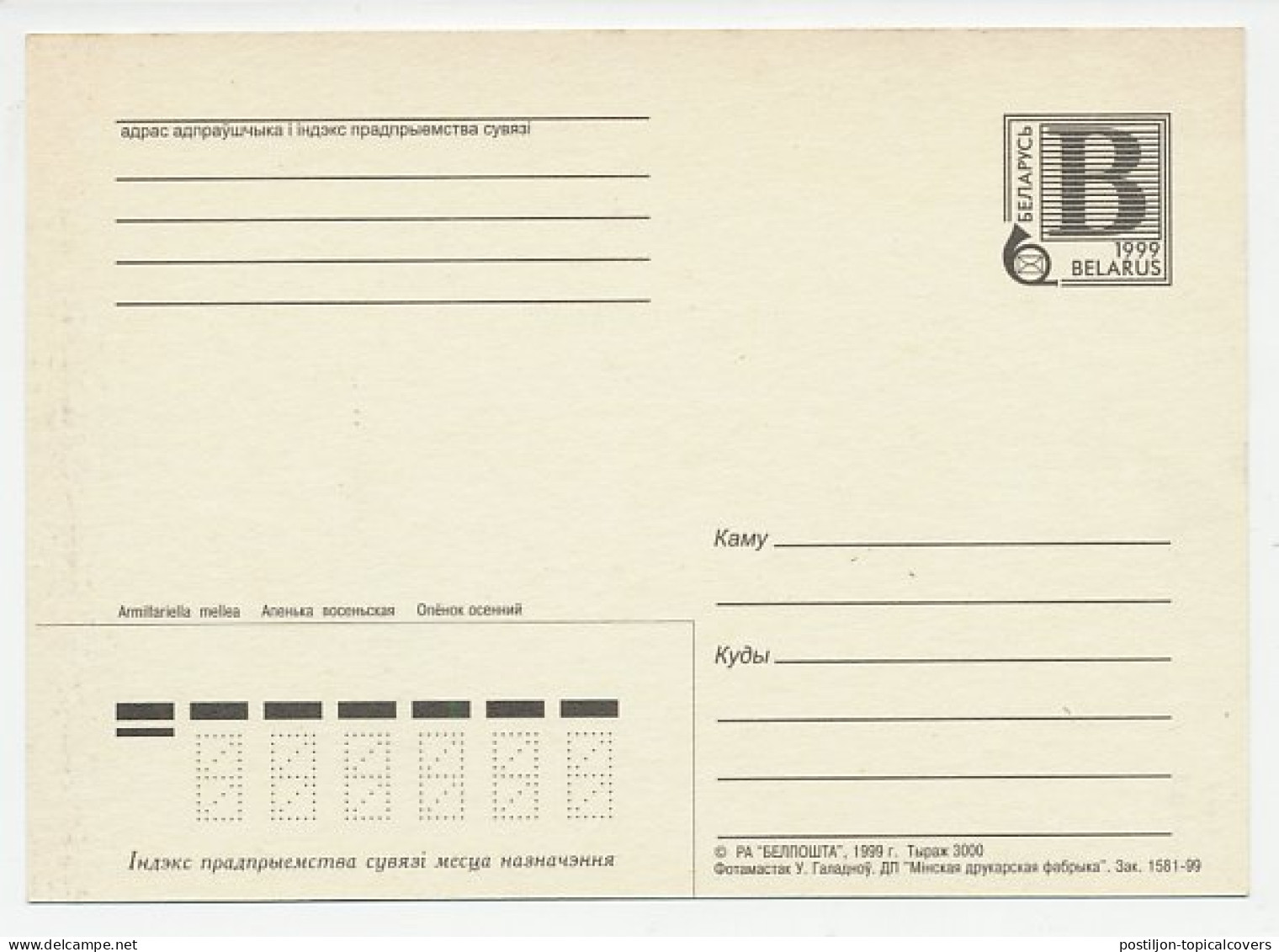 Postal Stationery Belarus 1999 Mushroom - Hongos
