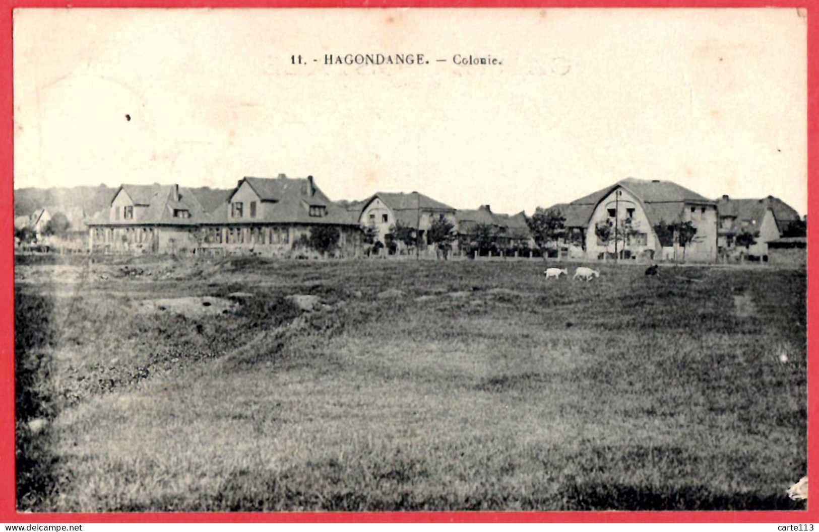 57 - B28591CPA - HAGONDANGE - Colonie - Très Bon état - MOSELLE - Hagondange