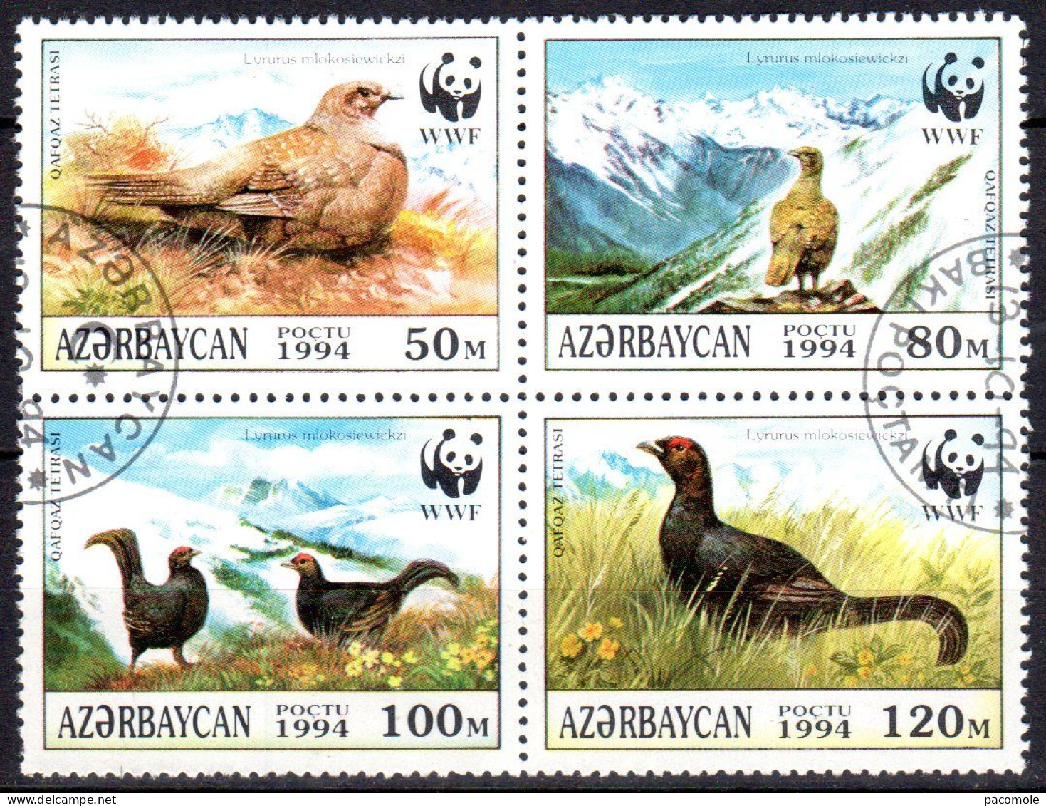 Azerbaïdjan ; Tétras Du Caucase (WWF) - Azerbaïjan