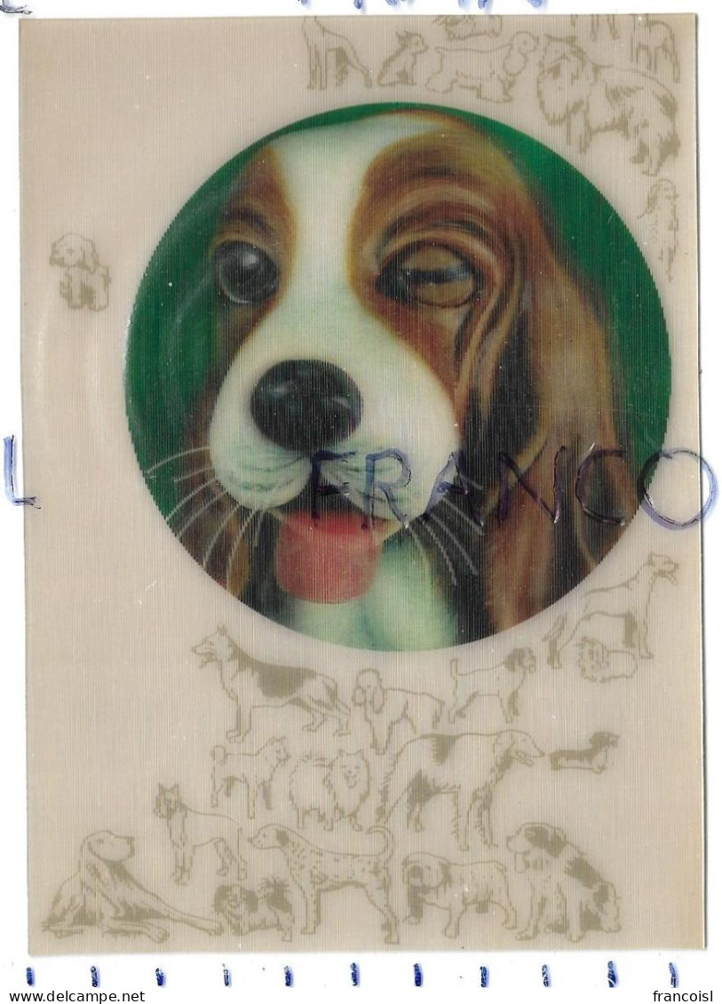 Carte 3D. Chien Clin D'oeil / Zwinkern / Wink / Knipoog - Cartes Stéréoscopiques