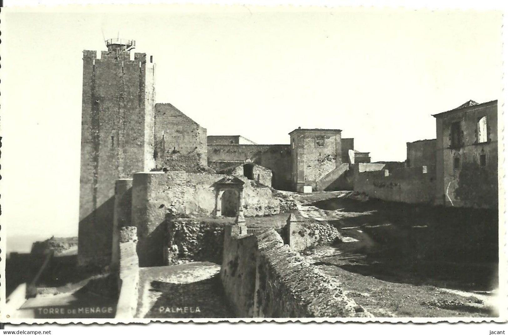 Portugal - Setubal - Torre De Menagem - Palmela - Carte Photo - Ed. Foto Cinema - Setúbal