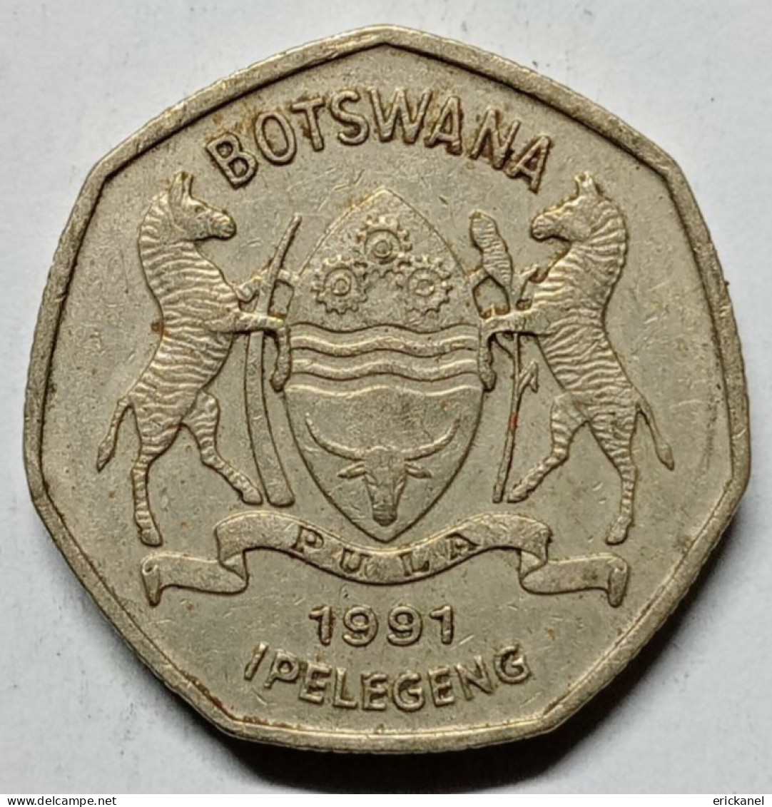 1991 BOTSWANA  1 PULA - GREAT DETAILS - Botswana